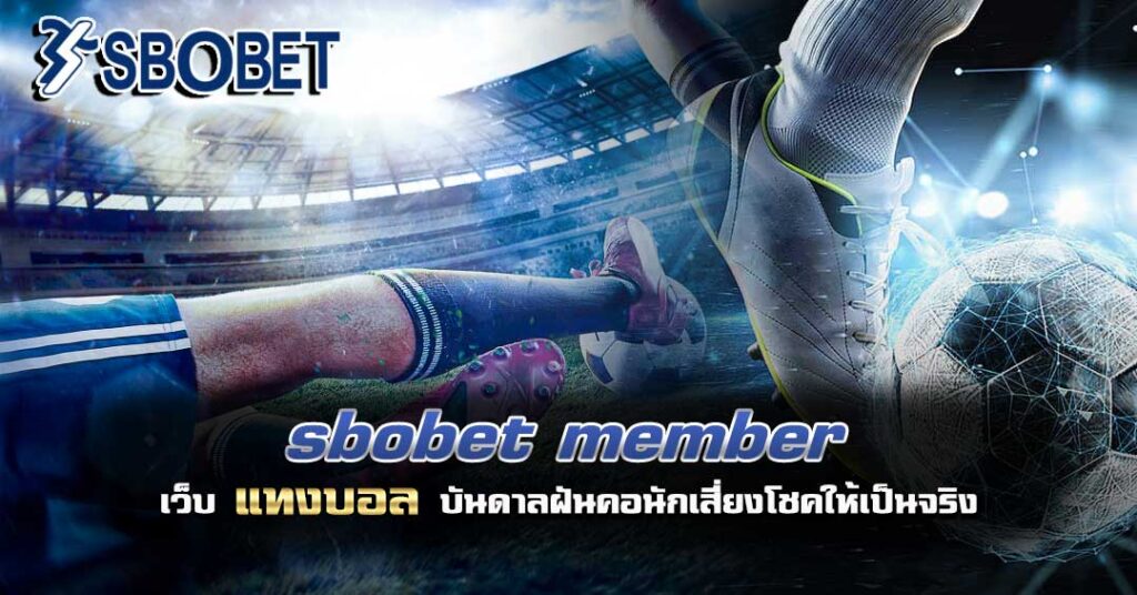sbobet member